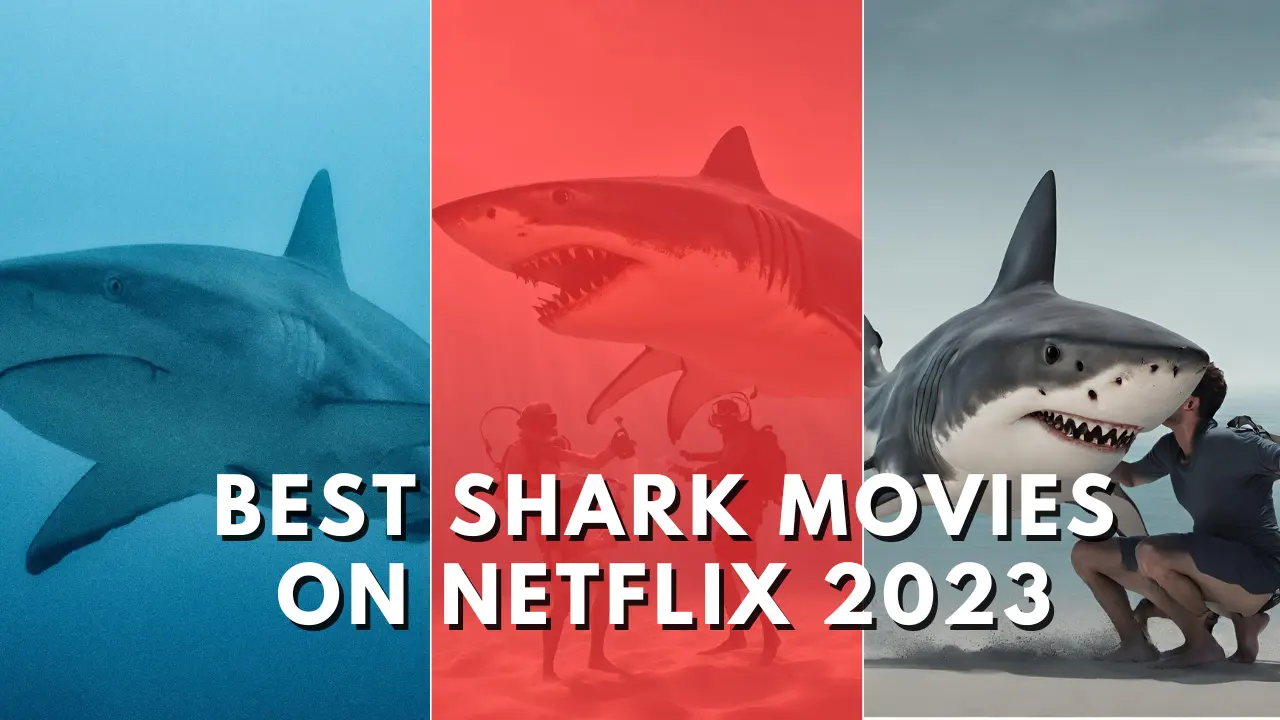 Shark Movies on Netflix [Oct 2023] Dive into Thrilling